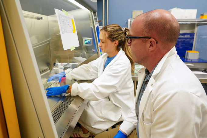 Working in Faircloth Lab